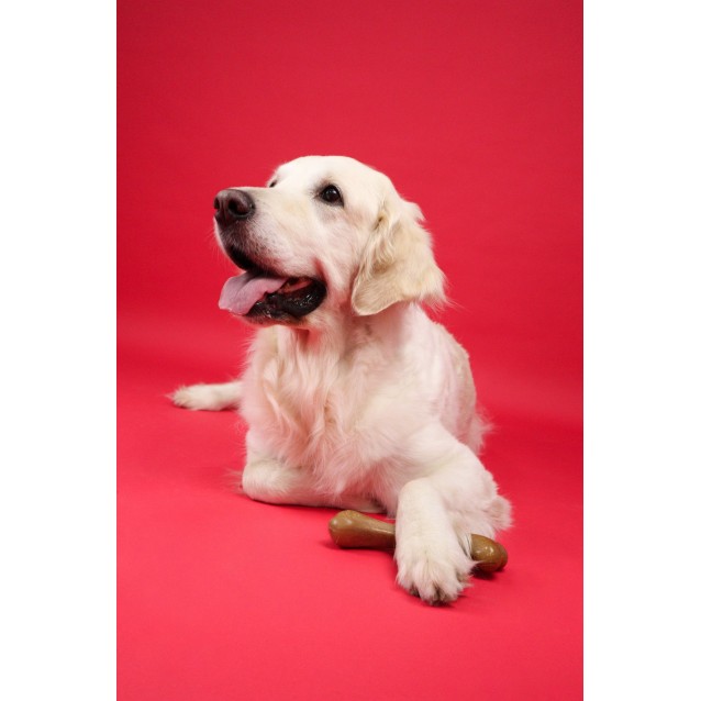 Dashi Taste And Fun Strawberry Fruity Bone Small