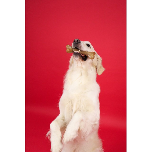 Dashi Taste And Fun Strawberry Fruity Bone Small