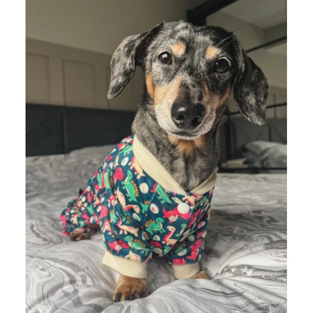 FuzzYard Πιτζάμα Για Σκύλους Dinosaur Land Extra Large Μήκος Ράχης 60cm