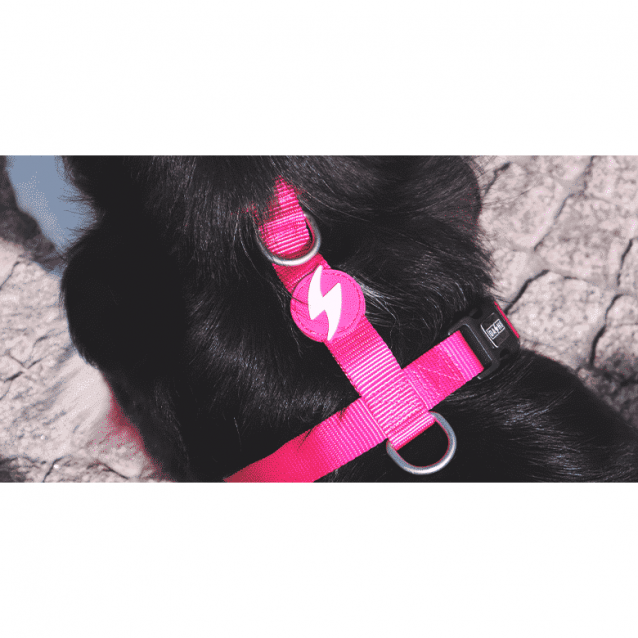 Dashi Σαμαράκι Σκύλου Solid Pink Large 62-107cm
