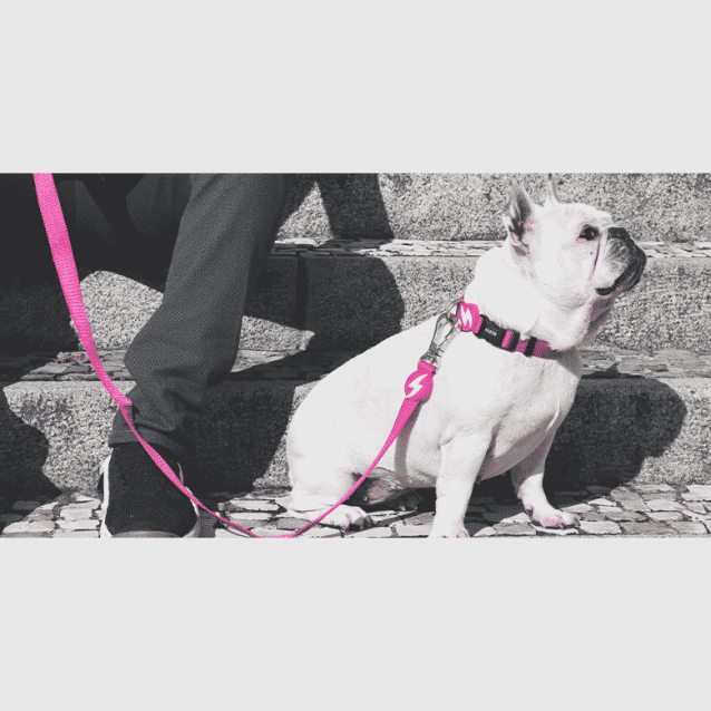 Dashi Λουρί Οδηγός Σκύλου Solid Pink Large