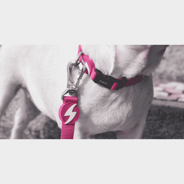 Dashi Λουρί Οδηγός Σκύλου Solid Pink Large