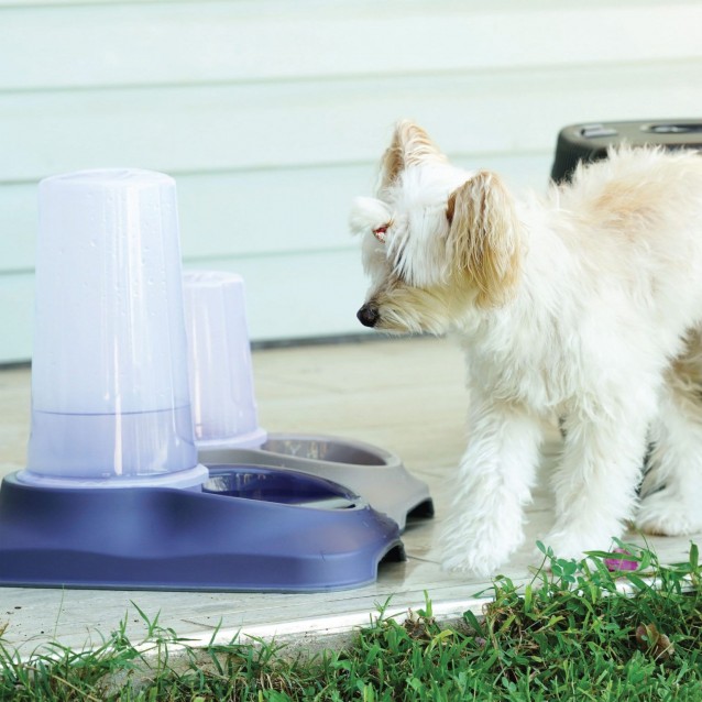 Pet Plast Art Ημιαυτόματη Ταϊστρα-Ποτίστρα Κατοικίδιων 1,5lt Μπλε 32x20x20,5cm