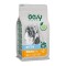 Oasy Dry Cat Lifestage Kitten Chicken 300gr