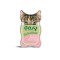 Oasy Wet Cat Delicatesse Adult Πατέ Με Σολομό 85gr