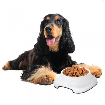 Pet Plast Art Πλαστικό Μπολ Τροφής Κατοικίδιων Άσπρο 1lt 23x22x7,5cm