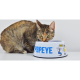 Dashi Popeye Bowl Large 1700ml 26x10cm