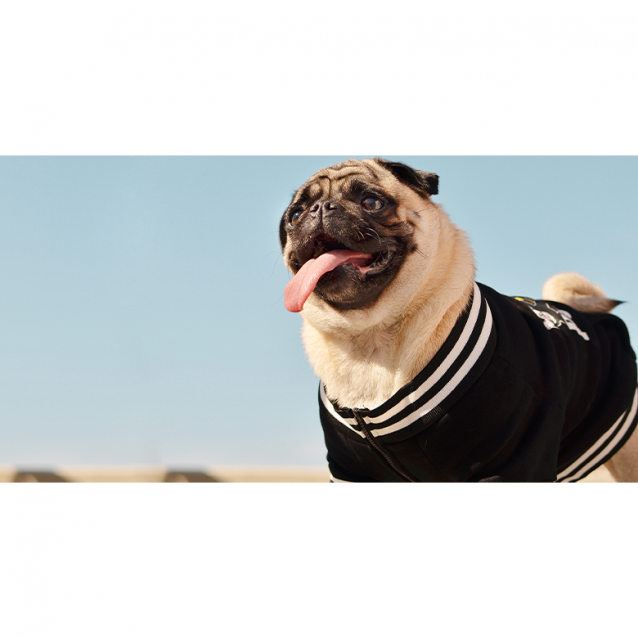 Dashi Popeye Sweat Black Medium