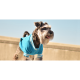Dashi Popeye Sweat Blue XSmall