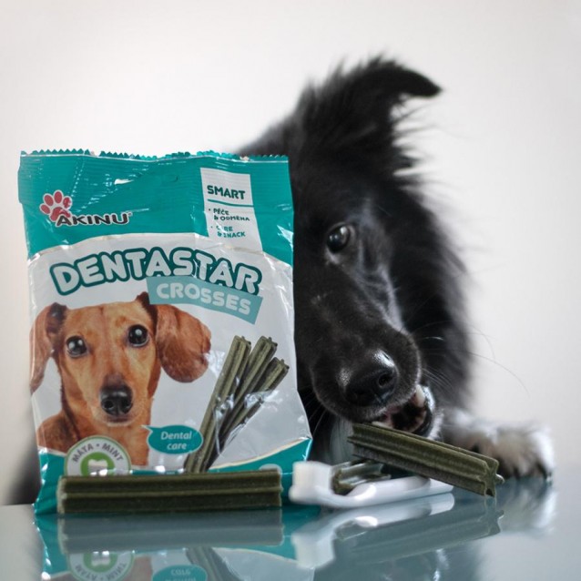 Akinu Dentastar Mini Για Μικρόσωμα/Μεσαία Σκυλιά 7 Τεμ 110gr Akinu Dentastar Mini Για Μικρόσωμα/Μεσαία Σκυλιά 7 Τεμ 110gr