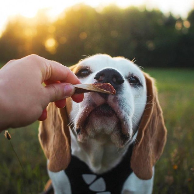 Akinu Στριφτά Φιλετάκια Αρνιού Με Μπακαλιάρο 300g