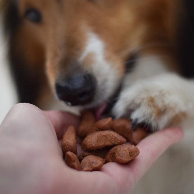 Akinu Soft Bones Ημι–Υγρά Κοκαλάκια 500g