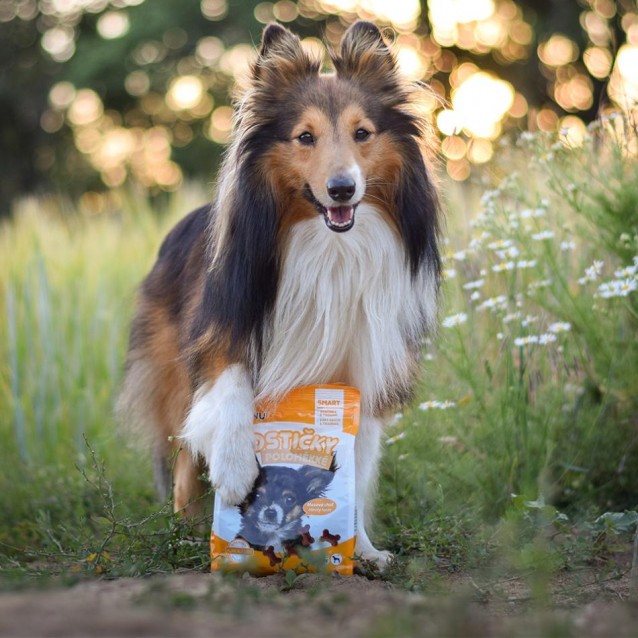 Akinu Soft Bones Ημι–Υγρά Κοκαλάκια 500g