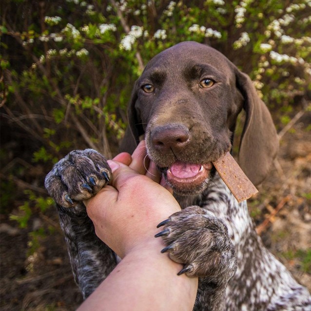 Akinu Snackses Μαλακές Λωρίδες Με Μοσχάρι 12Τεμ