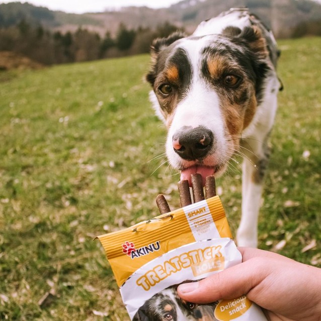 Akinu Sticks Με Αρνί