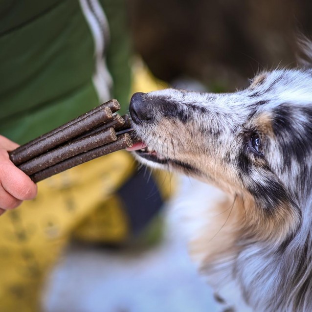 Akinu Sticks Με Αρνί