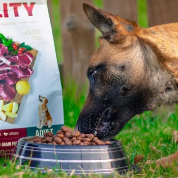 Akinu Vitality Αρνί Υποαλλεργικό 12kg