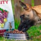 Akinu Vitality Αρνί Υποαλλεργικό 12kg