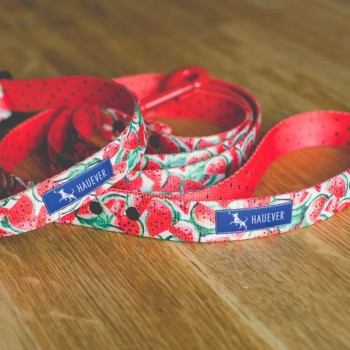 Hauever Περιλαίμιο Σκύλου Juicy Watermelon Medium 29x40cm