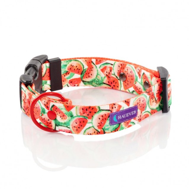 Hauever Περιλαίμιο Σκύλου Juicy Watermelon Large 40x62cm