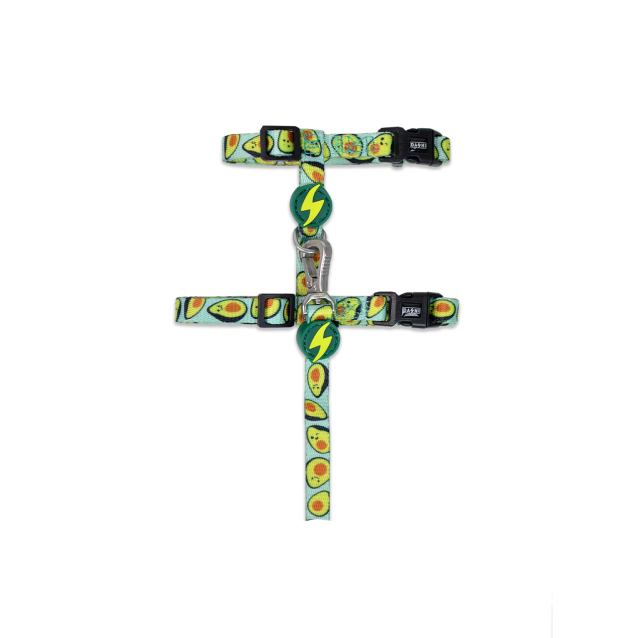 Dashi Σαμαράκι Γάτας Avocado + Οδηγός