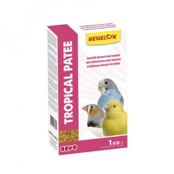 Benelux Bevo Tropical Patee με Φρούτα 1kg