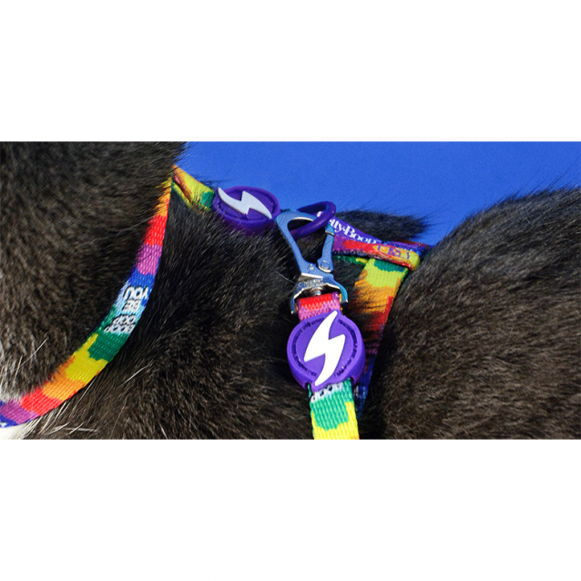 Dashi Σαμαράκι Γάτας Betty You + Οδηγός