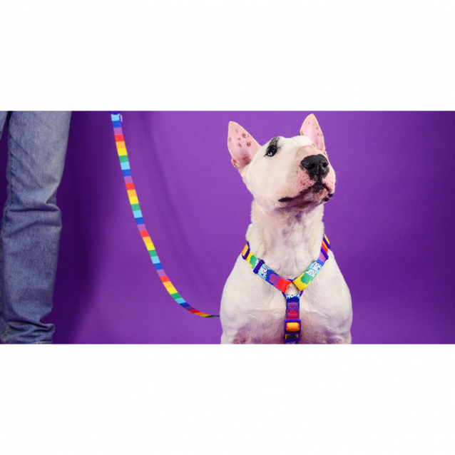 Dashi Σαμαράκι Σκύλου Betty You XSmall 23-38cm