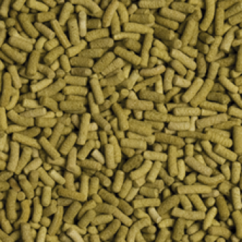 Tropical Biorept L Sticks 100ml