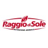 RAGGIO DI SOLE