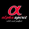 A SPIRIT