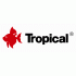 TROPICAL
