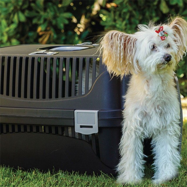 Pet Plast Art Κλουβί Μεταφοράς Κατοικίδιων Με Πλαστική Πόρτα Καφέ Max 5-6kg