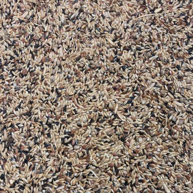 Canary Color King 20kg