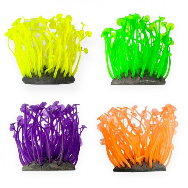 Aqua One Copi Coral Φυτό Soft Zoanthus 7x9cm