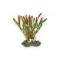 Aqua One Πλαστικό Φυτό Ενυδρείου Corkscrew Val Red 13cm
