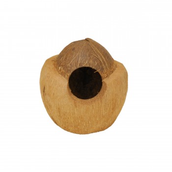 Benelux Coconut House Type 15x15x15cm