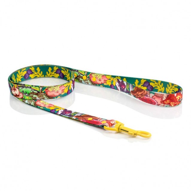 Hauever Οδηγός Σκύλου Happy Mushroom Small Hook 150cm