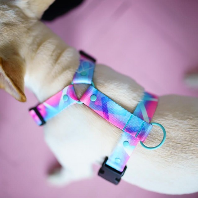 Hauever Οδηγός Σκύλου Hologram Large Hook 150cm