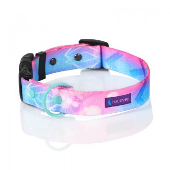 Hauever Περιλαίμιο Σκύλου Hologram Large 40x62cm
