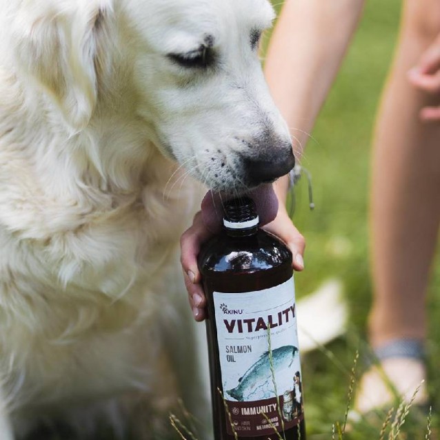 Akinu Vitality Λάδι Σολομού 500ml