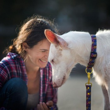 Hauever Περιλαίμιο Σκύλου VividLeaf Large 40x62cm