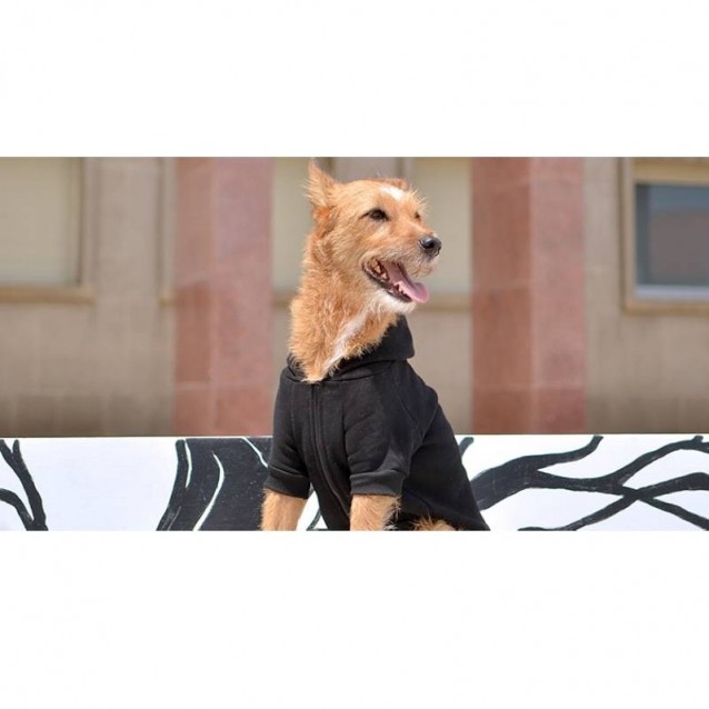 Dashi LCDP Matriarcado Hoodie Extra Small