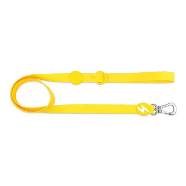 Dashi Λουρί Οδηγός Σκύλου Colorflex Yellow Medium