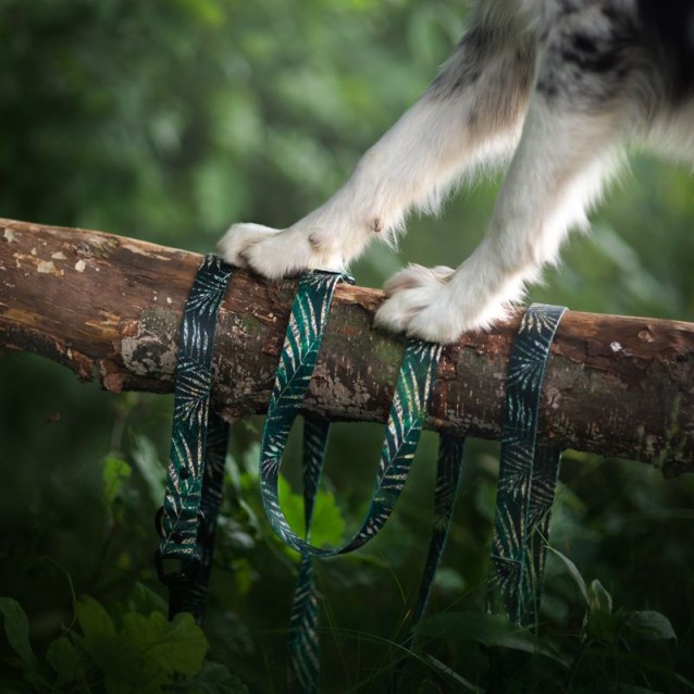 Hauever Οδηγός Σκύλου Amazonios Large Hook 150cm