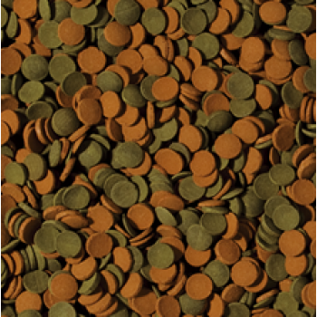 Tropical Mini Wafers Mix Doypack 18gr