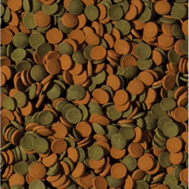 Tropical Mini Wafers Mix Doypack 18gr