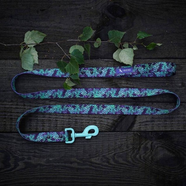 Hauever Οδηγός Σκύλου Forest Small Hook 150cm