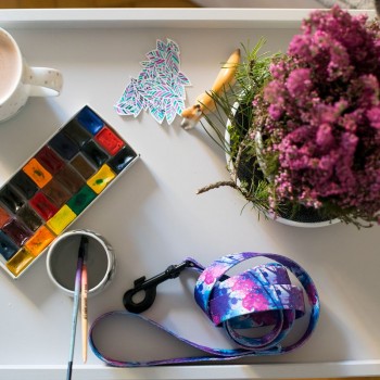 Hauever Περιλαίμιο Σκύλου Pif Paf Large 40x62cm