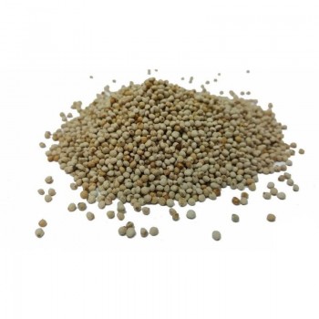 Λευκή Περίλλα 0,5kg